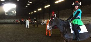 Willington Hall Riding Centre Openning Frequently Asked Questions