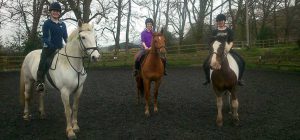 Willington Hall Riding Centre Opening How to Contact