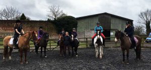 Willington Hall Riding Centre Opening Hours and Facilities