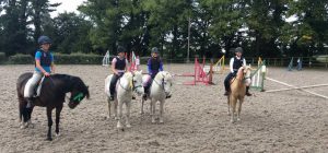 Willington Hall Riding Centre Openning Hours and Facilities